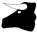 [Bison head profile]