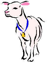 [Goat]