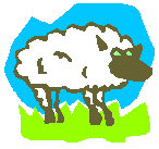 [Fluffy Sheep]