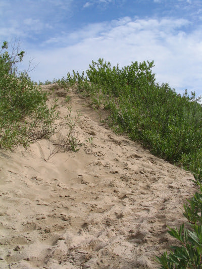 [Sand Hill Path]